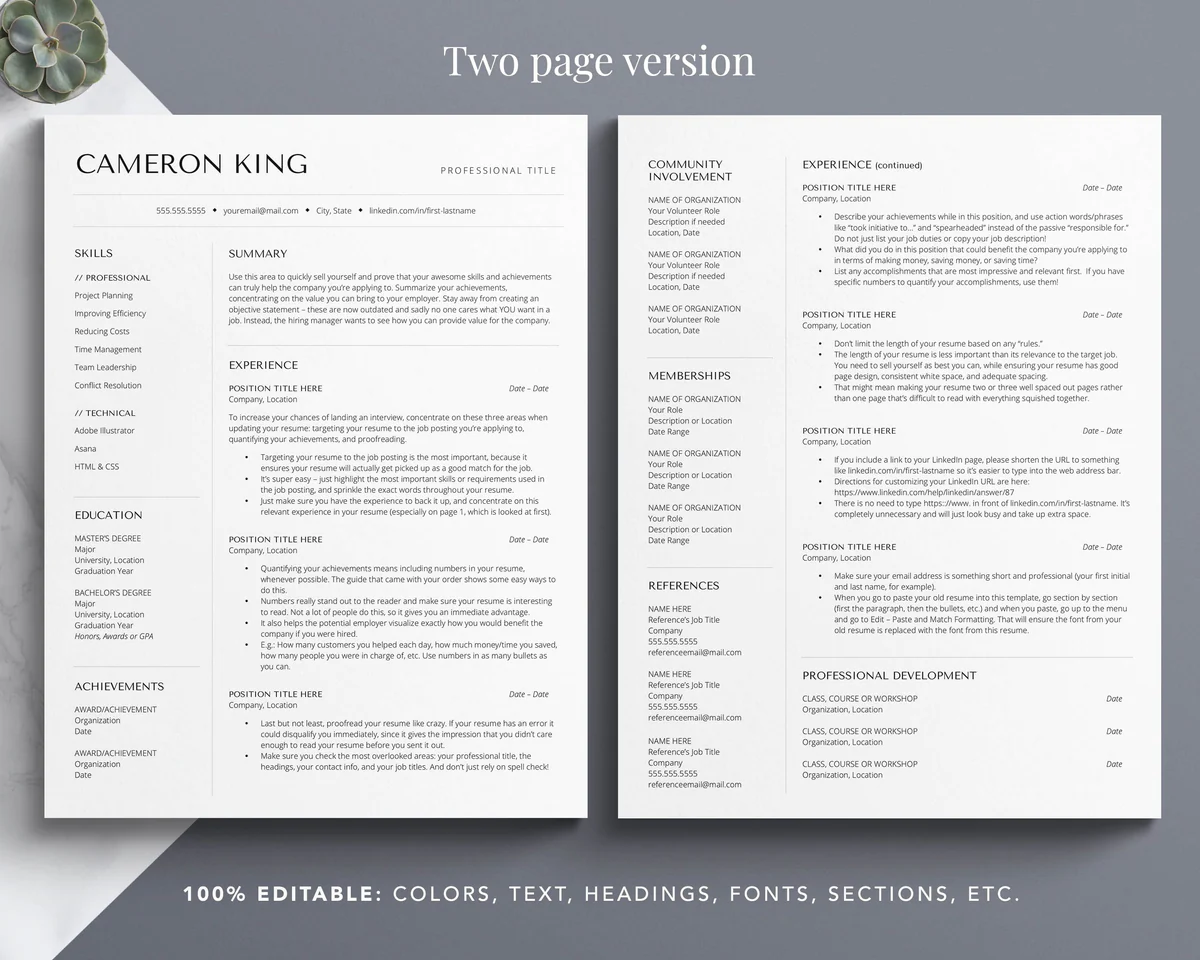 CREATIVE ARTIST RESUME TEMPLATE CAMERON KING 3 CREATIVE ARTIST RESUME TEMPLATE CAMERON KING