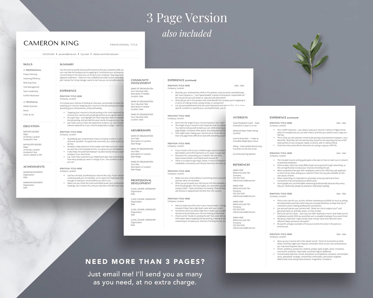 CREATIVE ARTIST RESUME TEMPLATE CAMERON KING 4 CREATIVE ARTIST RESUME TEMPLATE CAMERON KING